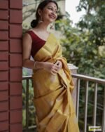 saree for women in festival season and function. - Image 7