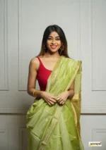 saree for women in festival season and function.