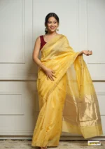 saree for women in festival season and function. - Image 9