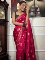 saree for women in festival season and function. - Image 6