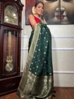 saree for women in festival season and function. - Image 2