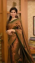 saree for women in festival season and function. - Image 6