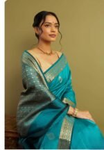 saree for women in festival season and function. - Image 6