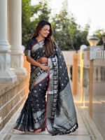 saree for women in festival season and function. - Image 9