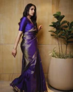saree for women in festival season and function. - Image 5