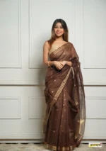saree for women in festival season and function. - Image 6