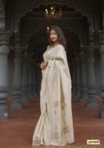 saree for women in festival season and function. - Image 9