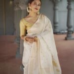 saree for women in festival season and function.