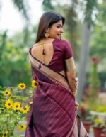 saree for women in festival season and function. - Image 2