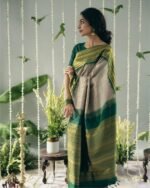 Banarasi Silk Saree Ideal for Women, special collection for festival and merrage. - Image 5
