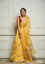 saree for women in festival season and function. - Image 7