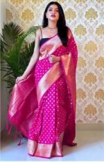 saree for women in festival season and function. - Image 5