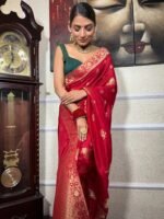 saree for women in festival season and function. - Image 2