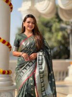 saree for women in festival season and function.