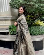 saree for women in festival season and function. - Image 5