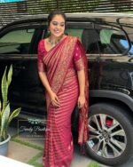 saree for women in festival season and function. - Image 2