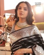 saree for women in festival season and function.