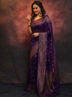 saree for women in festival season and function. - Image 4