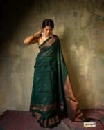 saree for women in festival season and function. - Image 6