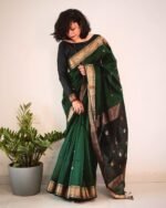 saree for women in festival season and function. - Image 6