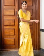 saree for women in festival season and function. - Image 4