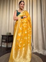 saree for women in festival season and function. - Image 3