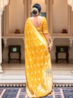 saree for women in festival season and function. - Image 3