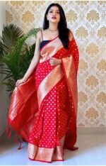 saree for women in festival season and function. - Image 2