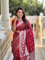 saree for women in festival season and function. - Image 9