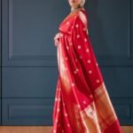 saree for women in festival season and function.