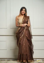 saree for women in festival season and function. - Image 12