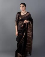 saree for women in festival season and function. - Image 2