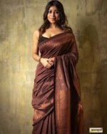 saree for women in festival season and function. - Image 8