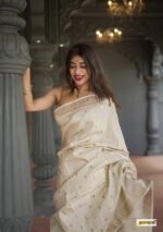 saree for women in festival season and function. - Image 10