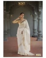 saree for women in festival season and function. - Image 6