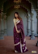 saree for women in festival season and function. - Image 4