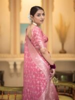 saree for women in festival season and function. - Image 4