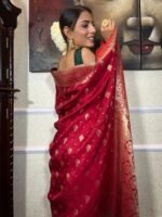 saree for women in festival season and function. - Image 2