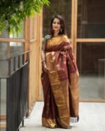 saree for women in festival season and function. - Image 4