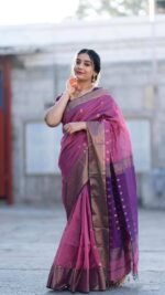 saree for women in festival season and function. - Image 5