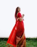 saree for women in festival season and function. - Image 5