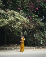 saree for women in festival season and function. - Image 2