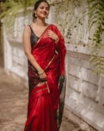 saree for women in festival season and function. - Image 11