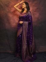 saree for women in festival season and function. - Image 6