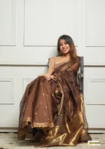 saree for women in festival season and function. - Image 4