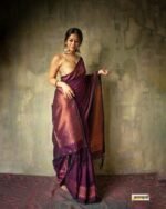 saree for women in festival season and function. - Image 2