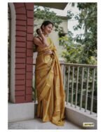 saree for women in festival season and function. - Image 5
