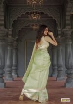 saree for women in festival season and function. - Image 9