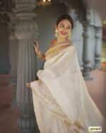 saree for women in festival season and function. - Image 8