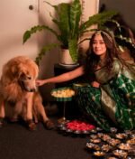 saree for women in festival season and function. - Image 6